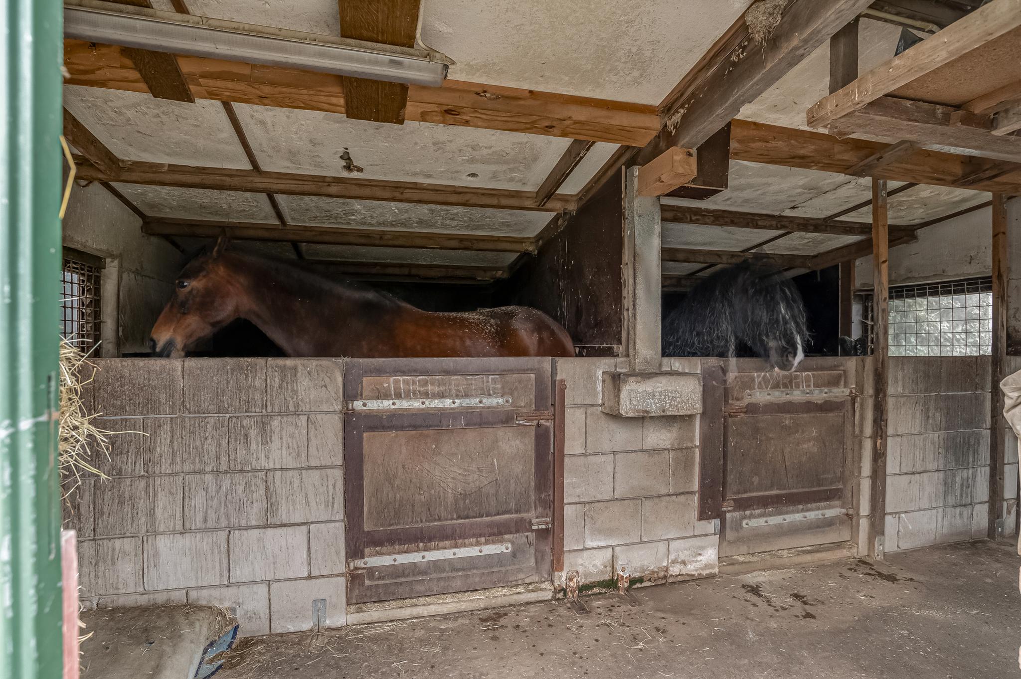 Rijnbandijk , 4021 AG Maurik - Foto 31