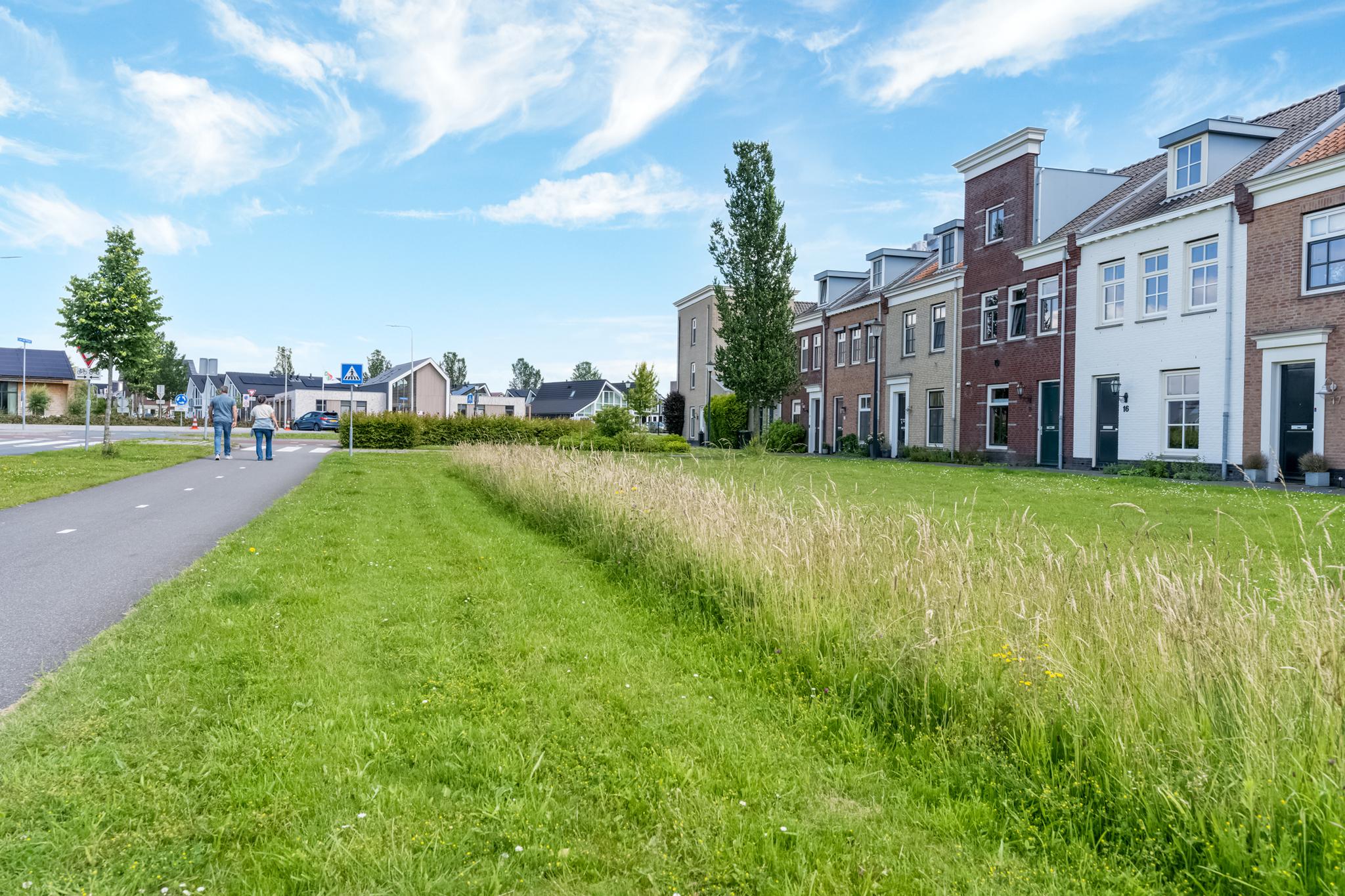 Kuifeend , 4105 TK Culemborg - Foto 35