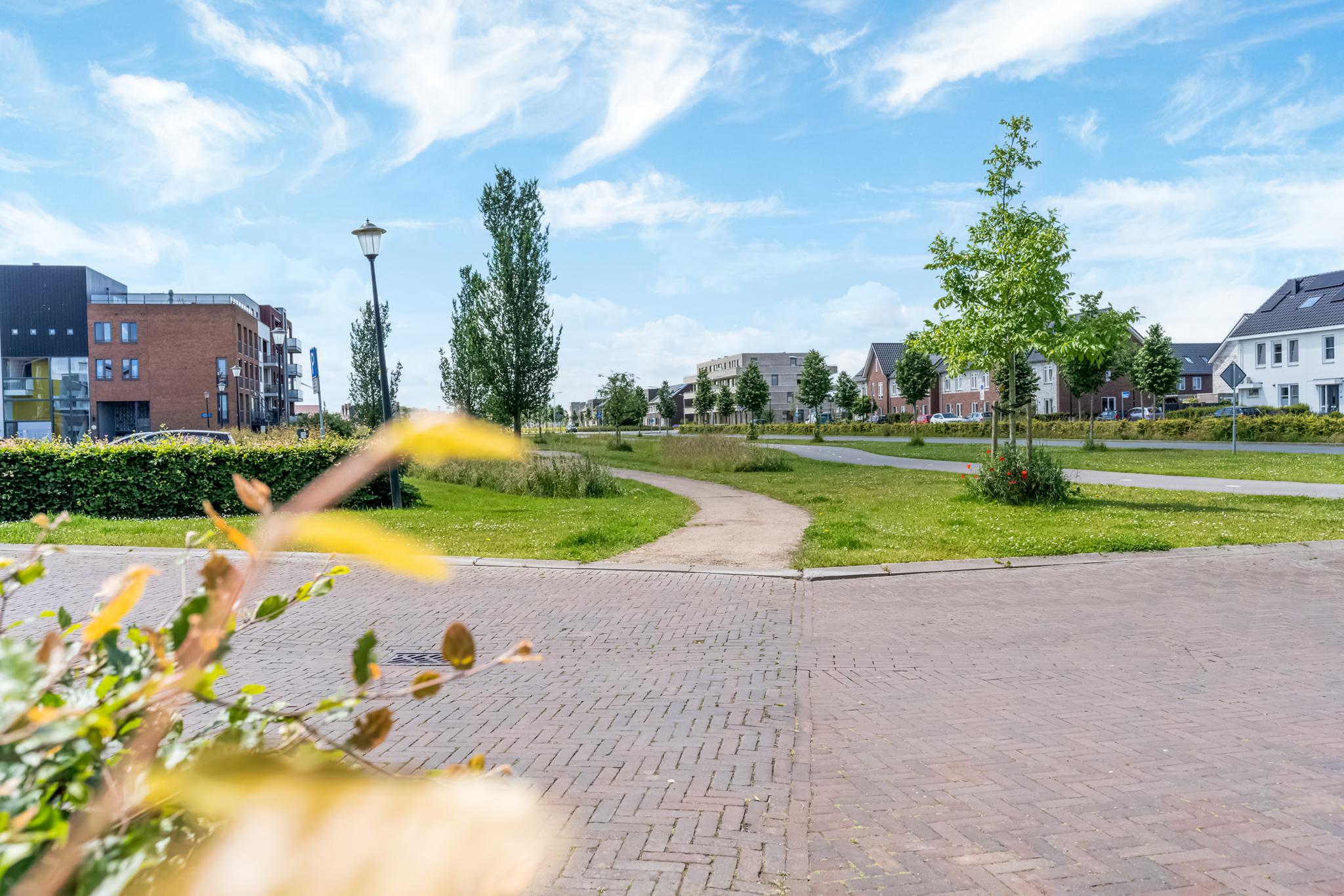 Kuifeend , 4105 TK Culemborg - Foto 36