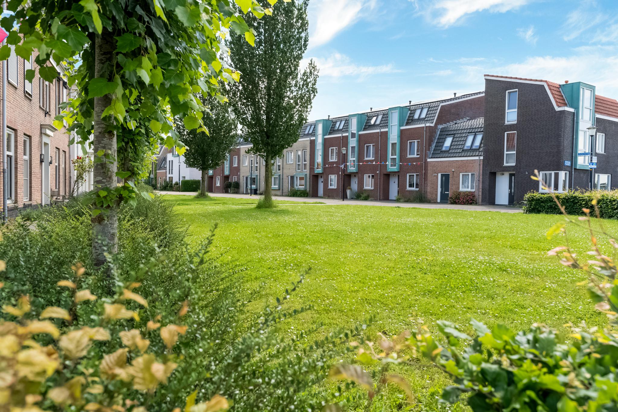 Kuifeend , 4105 TK Culemborg - Foto 37