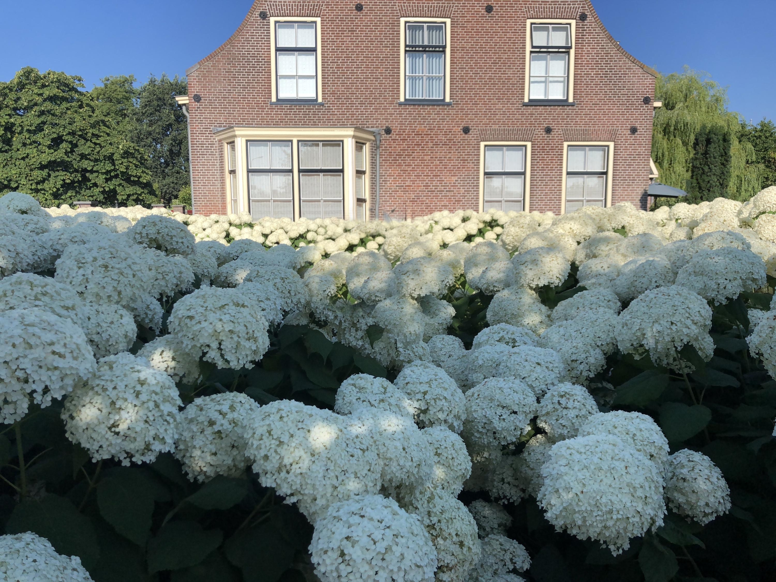 Lekdijk 75, 4235 VN Tienhoven aan de lek - Foto 16