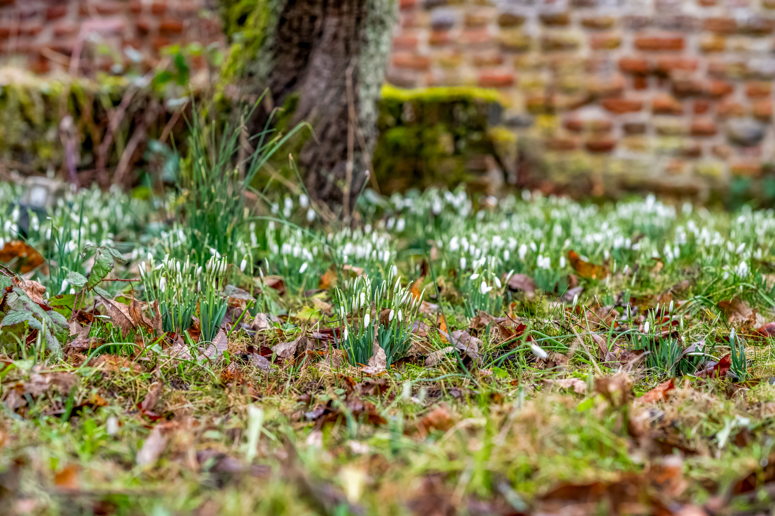 Zoetendaal 3, 4116 BM Buren - Foto 18